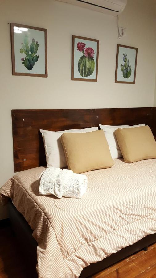 El Cardon - P/6 Pax -2 Dorm - Amplio Y Moderno Lejlighed Salta Eksteriør billede